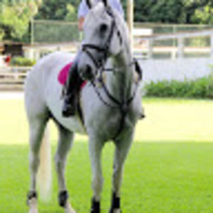 Meet your Posher, Isabella